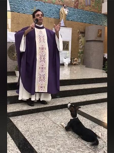 Cão "Zezinho" acompanha padre em missa - Reprodução/Facebook/Leonardo Concon