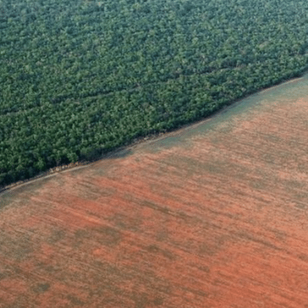 Questões ambientais, como o desmatamento da Amazônia, estão entre os assuntos de geografia que mais são abordados no Enem - Reuters