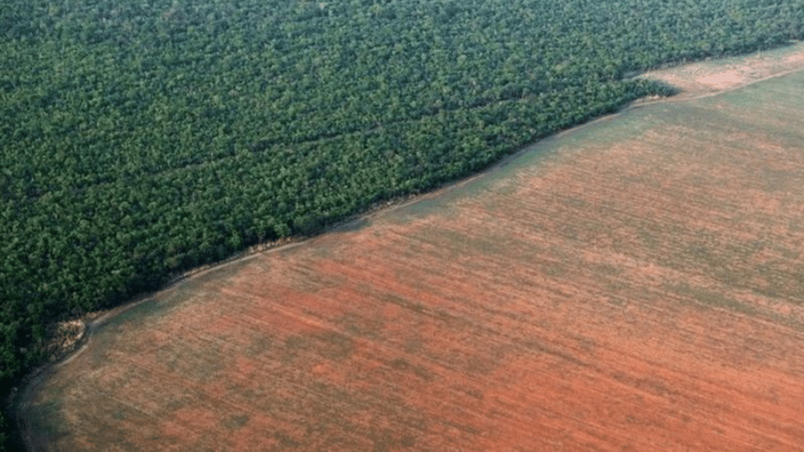 Desmatamento na Amazônia atingiu em 2020 o maior índice dos últimos 12 anos, gerando críticas internacionais ao país - Reuters