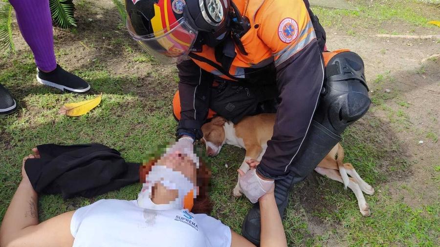 Segundo Corpo de Bombeiros, cachorro parecia "arrependido" e decidiu ficar ao lado da mulher durante o resgate - Corpo de Bombeiros de Pernambuco/Divulgação