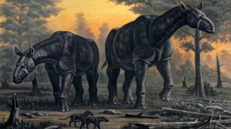 Ictiossauro ou baleia azul: os maiores animais que habitaram a Terra
