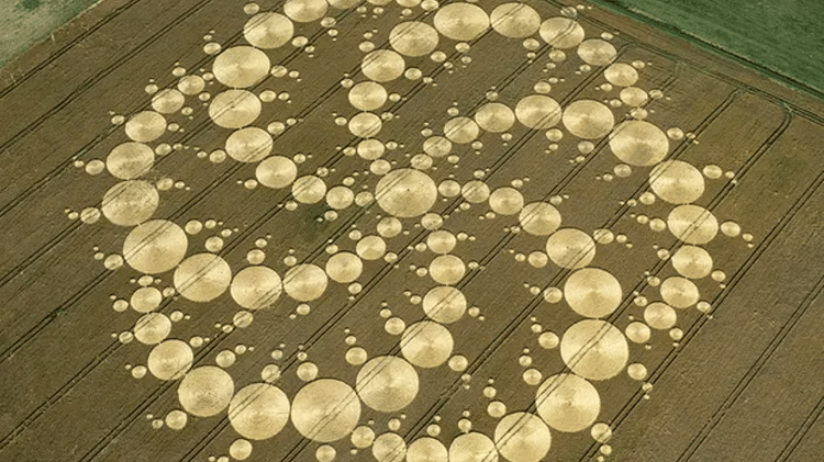 A 240-metre crop consists of 409 circles forming a pattern called a double triskelion - Reproduction/Instagram/Steve Alexander - Reproduction/Instagram/Steve Alexander
