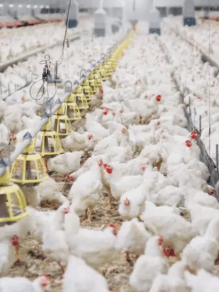 Ministério da Agricultura