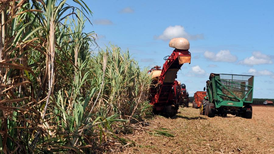 Abertura da colheita da safra de cana na usina do Grupo USJ (Quirinópolis/GO); açúcar; etanol - Valter Campanato/Agência Brasil