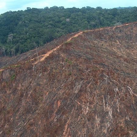 4.out.2018 - Imagem do Ibama mostra desmatamento em fazenda - Divulgação/Ibama