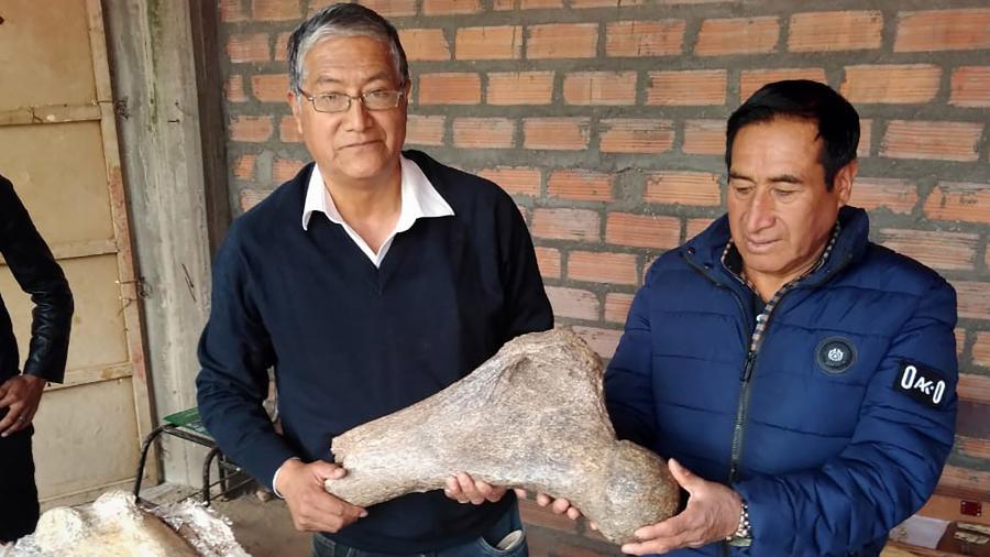 Fósseis foram encontrados no distrito de Chambará, na região de Junín, a cerca de 3.500 metros de altitude - Pedro Tinoco / AFP