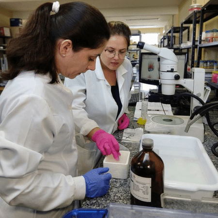 As mulheres inventoras têm maior presença nos campos de assistência médica e farmacêutica - Camila Guimarães