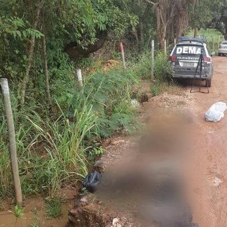 Polícia Civil de Cuiabá encontrou 18 cachorros mortos: clínicas veterinárias são investigadas - Divulgação/Polícia Civil 
