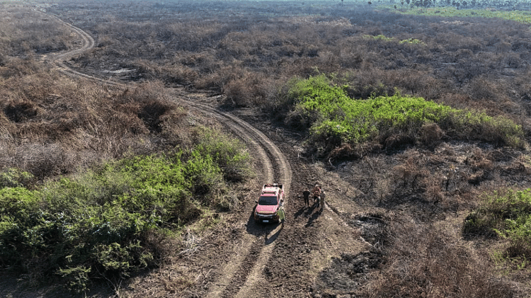 Região fotografada em 21 de junho, após controle de área de queimada em Corumbá