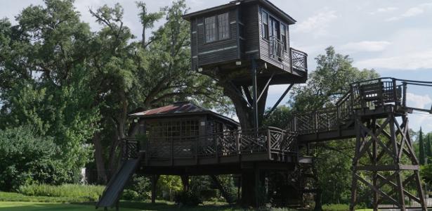 Bilionário americano constrói mansão na árvore avaliada em R$ 2,1 milhões