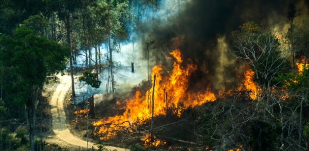 O avanço do desmatamento na Amazônia provoca prejuízos ambientais e econômicos, alertam pesquisadores da região - Rogério Assis/Greenpeace 