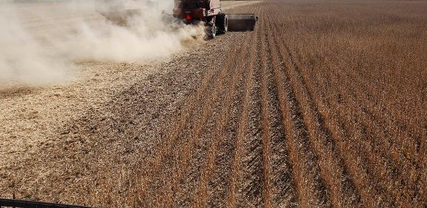 Seca prolongada castiga grandes zonas produtoras de soja na Argentina