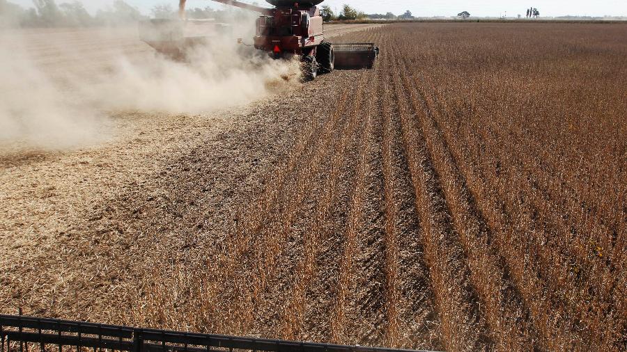 Região de Chacabuco, Argentina, onde a colheita começa em abril: seca preocupa