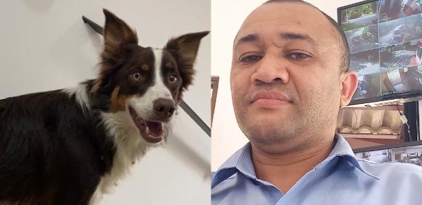Porteiro encontra cão desaparecido e rejeita recompensa de R$ 5 mil - Vimarsana News