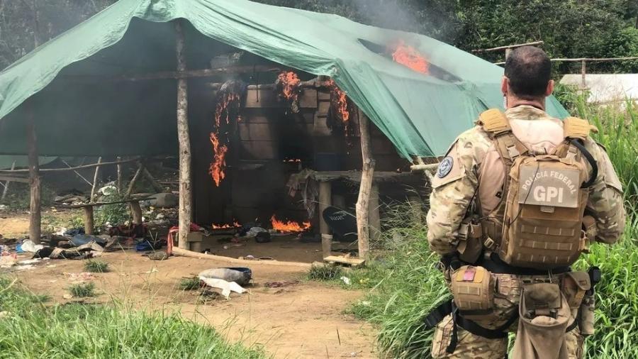 PF destrói avião e acampamento do garimpo ilegal em comunidade yanomami