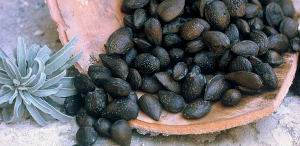 Como amêndoas ajudaram a datar naufrágio ocorrido há mais de 2 mil anos