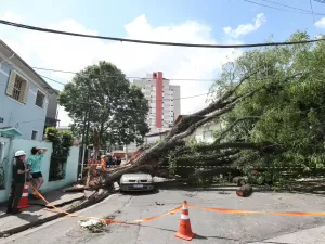 Apagão em SP: 100 mil imóveis seguem sem energia pelo 5º dia consecutivo