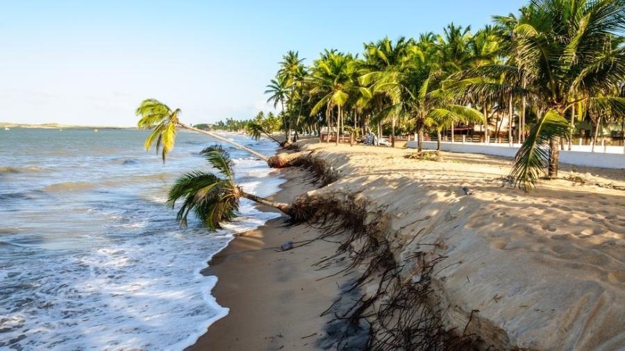 Litoral do Rio Grande do Norte  - Getty Images