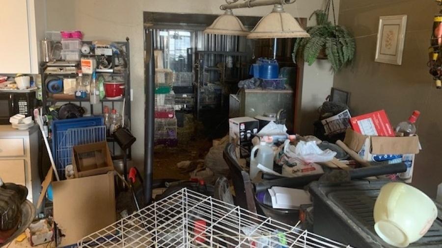 A casa onde a polícia de Edgewater (EUA) encontrou três crianças e 245 animais - Reprodução/Facebook