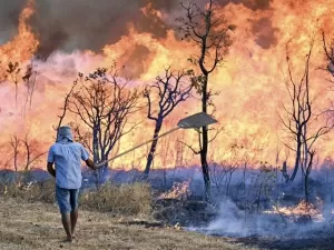 DF bate recorde de média de queimadas em parque e 146 dias sem chuva