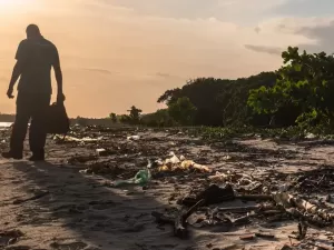 1 ano só pra tirar o lixo: como pescadores ressuscitaram uma floresta no RJ