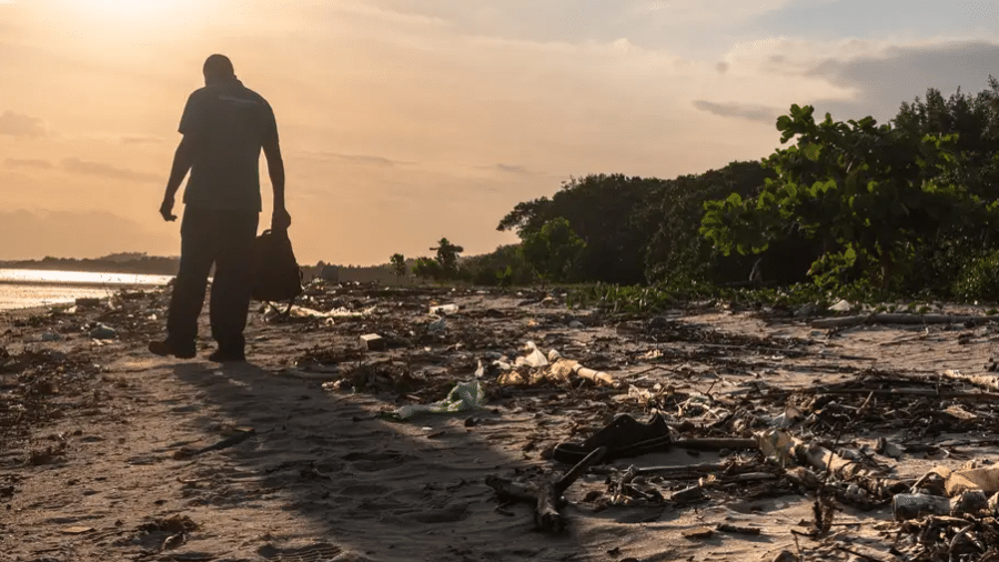 Pescadores limparam mangue e replantaram 100 mil de mudas