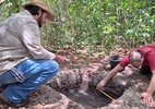 Evidências de ocupação pré-histórica em Niterói impressionam arqueólogos - Nupai e Uerj