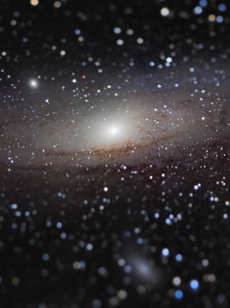 【超美品】Andromeda 2019 Andromeda Shun New Bronze Cloth Revival Ver - Saint Seiya Cloth