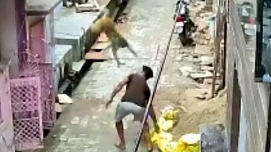 O homem passava por uma viela na Índia quando se deparou com os macacos e tentou afastá-los a pedradas - Reprodução/Redes Sociais