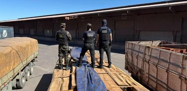 Apreensão de cocaína em carga de madeira pode ser a maior do Brasil