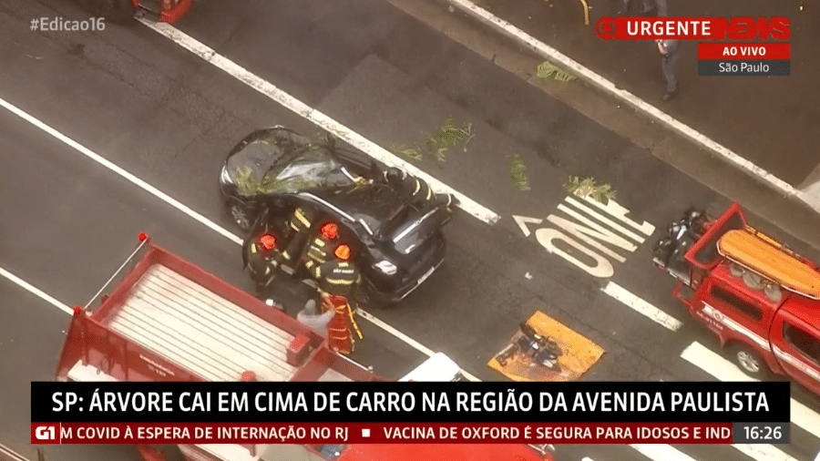 19.11.2020 - Árvore atinge carro na Avenida Paulista; motorista sofreu ferimentos leves - Reprodução