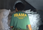 Ibama multa em R$ 50 mi empresa que exportaria 17 t de barbatana de tubarão