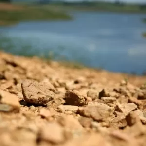 Vídeo mostra capivara se refrescando na praia de Santa Clara