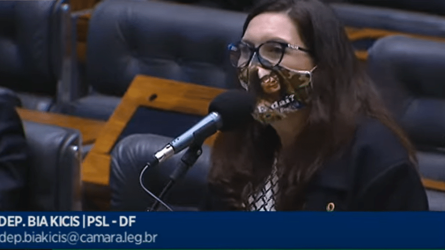 A deputada Bia Kicis (PSL-DF) usa máscara onde se lê "E daí?" - Reprodução/TV Câmara