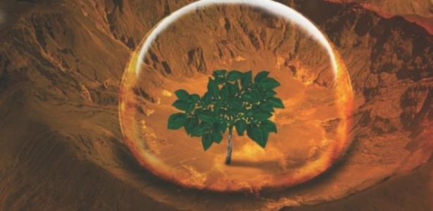 Para pesquisadores, batatas poderiam alimentar uma futura colônia humana em Marte - CIP