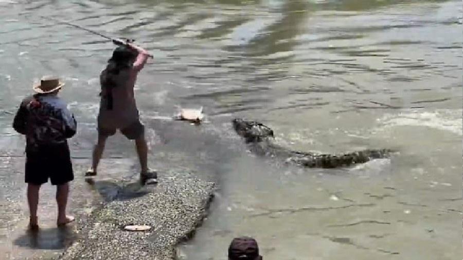 Scott Roscarel enfrentando crocodilo por peixe em riacho na Austrália. - Reprodução/Instagram