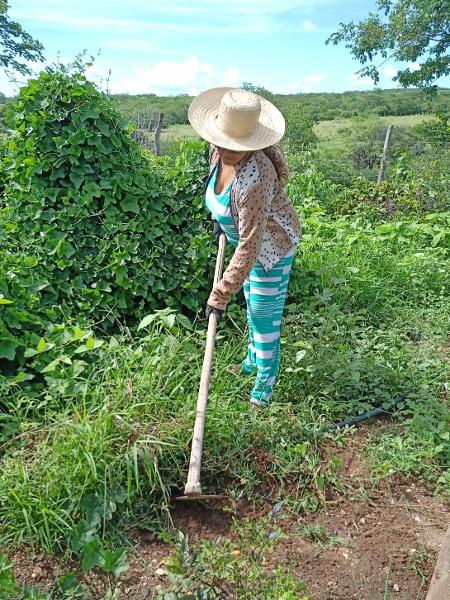 Daniela Brás dos Santos cuida de sua plantação em Flores (PE) - Arquivo pessoal