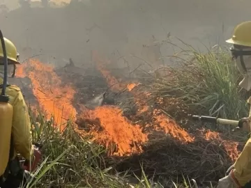 Fogo de grileiro devasta 2,8 mil campos de futebol em terra indígena no PA