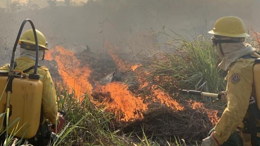 Funai, Ibama, Polícia Federal e Força Nacional tentam controlar os incêndios na Terra Indígena Apyterewa, em setembro de 2024