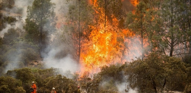 Bombeiros trabalham para apagar o fogo em Clearlake, California (EUA) - Noah Berger/EFE