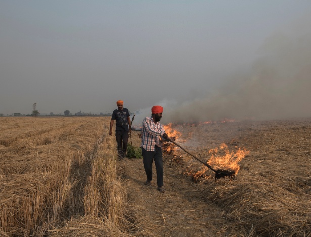 Um homem caminha por campos que foram queimados na aldeia de Phaguwalla, na Índia - Rebecca Conway/The New York Times