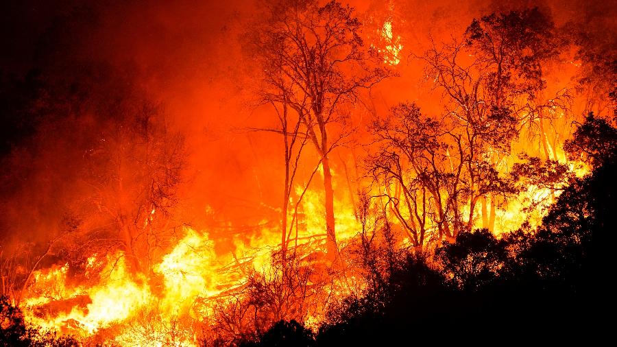 Incêndios já deixaram mais de 580 km² de florestas devastadas na Califórnia - Kent Nishimura / Los Angeles Times via Getty Images