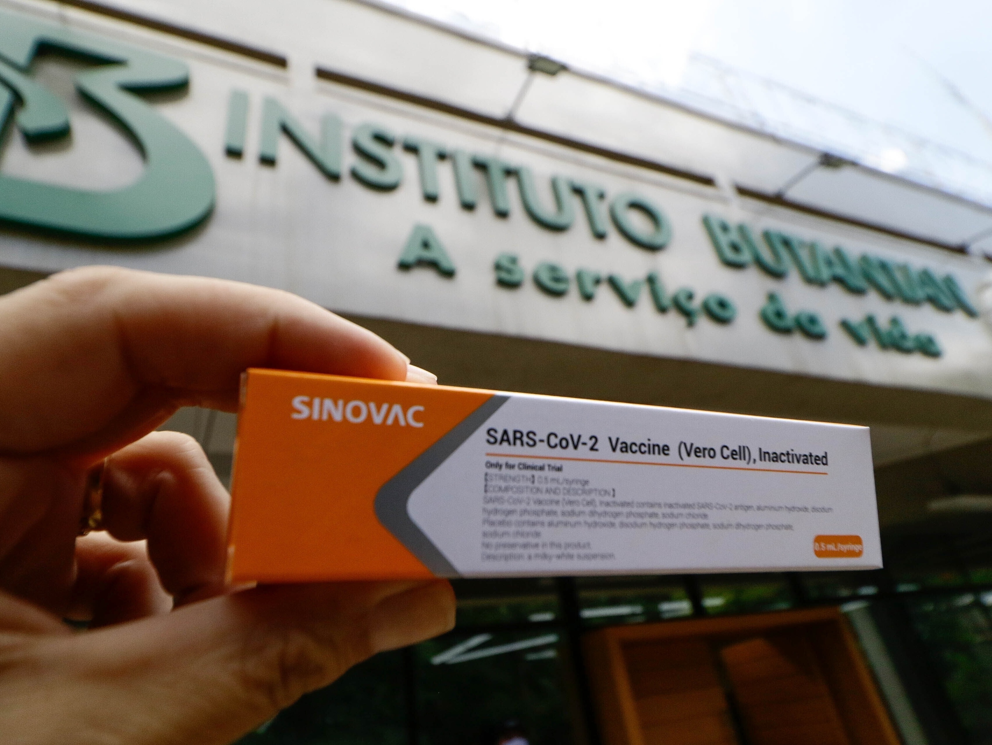 De 78% a 100%: Eficácia da CoronaVac é 'boa', diz imunologista; entenda