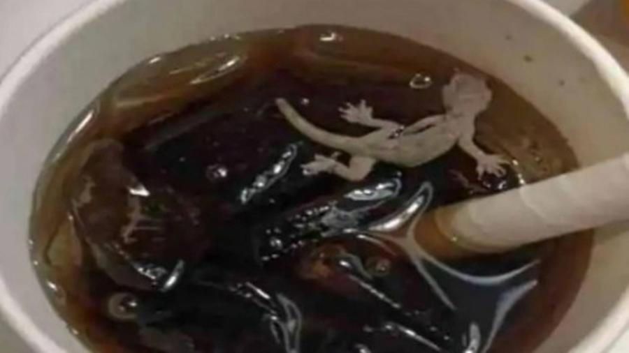 Consumidor encontrou lagartixa morta em bebida na Índia - Reprodução