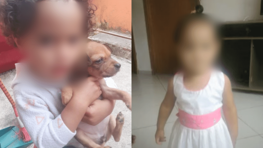 A menina de 2 anos havia sido sequestrada em Santo Amaro, em São Paulo - Reprodução/Redes sociais