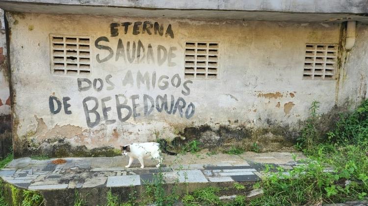 Imóvel abandonado e com pintura é nova casa de gato no bairro de Bebedouro, em Maceió  