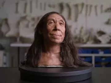 Alguns de nós têm DNA neandertal; veja as implicações no corpo e saúde