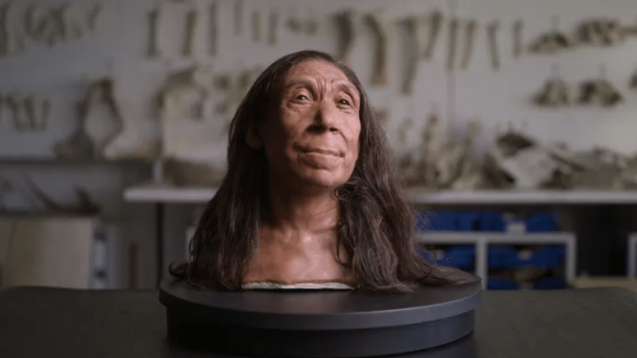 Crânio re mulher neandertal foi reconstruído
