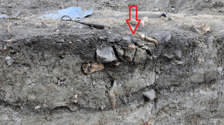 Seta indica pedras posicionadas no torso do cadáver. Segundo a superstição, o peso dos objetos impediria que o morto levantasse do túmulo Seta indica pedras posicionadas no torso do cadáver. Segundo a superstição, o peso dos objetos impediria que o morto levantasse do túmulo