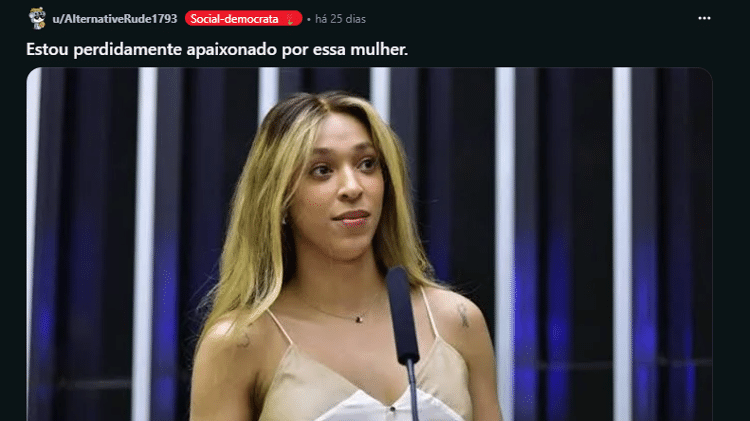 Usuário faz post elogioso à deputada Erika Hilton no subreddit r/antitrampo